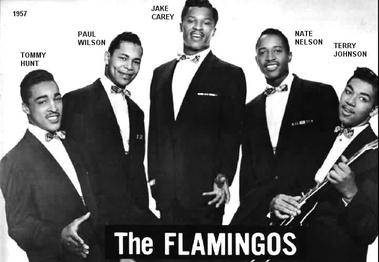 The Flamingos